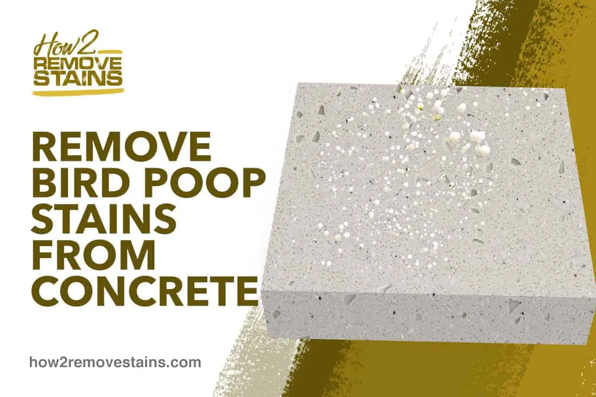 Hur man tar bort fågelbajsfläckar från betong